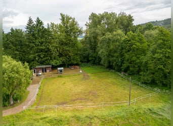 Historic mill estate in a secluded location with horsekeeping, water power, and attractive income op