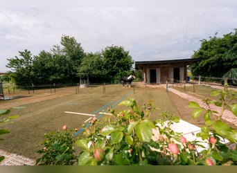 Historic mill estate in a secluded location with horsekeeping, water power, and attractive income op