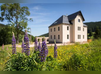 Historisches Villenanwesen im Erzgebirge – Absolute Alleinlage in traumhafter Natur!