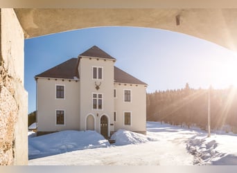 Historisches Villenanwesen im Erzgebirge – Absolute Alleinlage in traumhafter Natur!