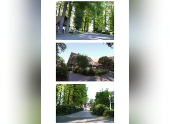 Hofstelle