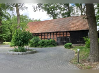 Hofstelle