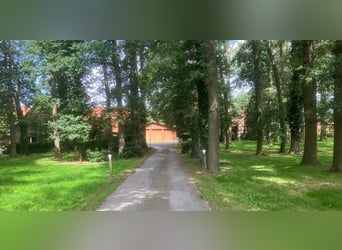 Hofstelle