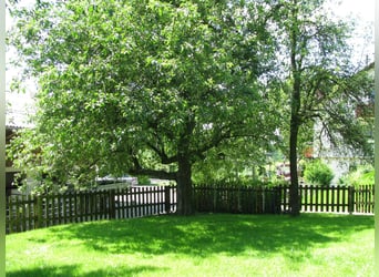 Horse farm with riding facilities, two-family house, commission-free, with current appraisal