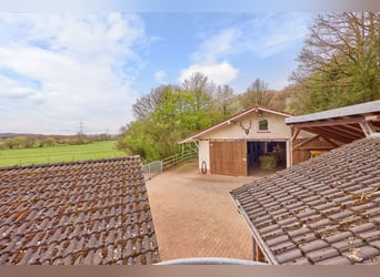 Horse property for sale in Saarland – A stud farm set in picturesque surroundings with a modern ridi