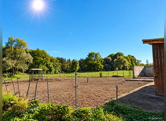 Horsekeeping on approximately 4.2 acres of private land just outside Munich