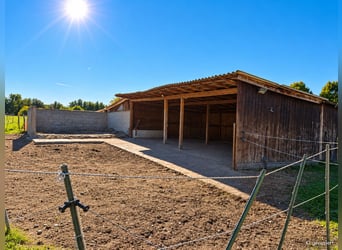 Horsekeeping on approximately 4.2 acres of private land just outside Munich
