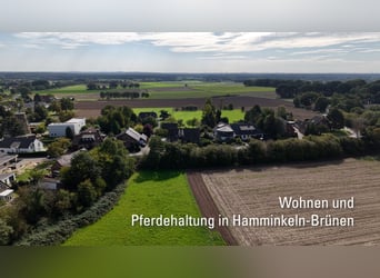 House with horse stable and grazing land in Hamminkeln-Brünen