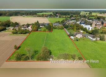 House with horse stable and grazing land in Hamminkeln-Brünen