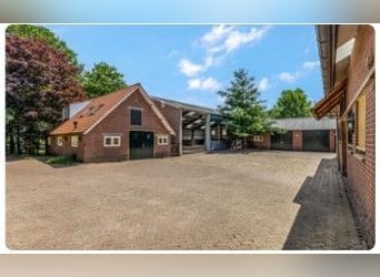Idyllische paardenboerderij Kootwijkerbroek Veluwe te koop