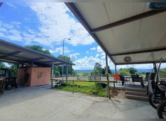 Idyllische Pferdesportanlage zu vermieten