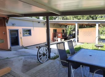 Idyllische Pferdesportanlage zu vermieten