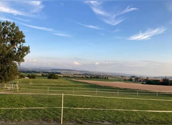 Idyllische Pferdesportanlage zu vermieten