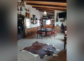 IDYLLISCHE WESTERNRANCH MIT TOURISMUS LIZENS AN DER COSTA BLANCA