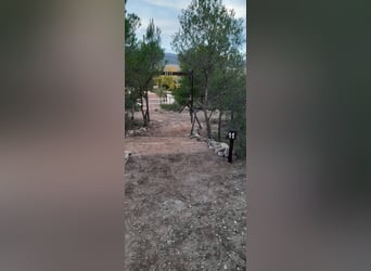 IDYLLISCHE WESTERNRANCH MIT TOURISMUS LIZENS AN DER COSTA BLANCA