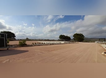IDYLLISCHE WESTERNRANCH MIT TOURISMUS LIZENS AN DER COSTA BLANCA