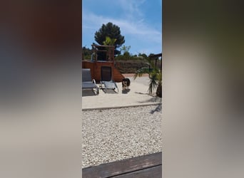 IDYLLISCHE WESTERNRANCH MIT TOURISMUS LIZENS AN DER COSTA BLANCA