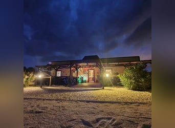 IDYLLISCHE WESTERNRANCH MIT TOURISMUS LIZENS AN DER COSTA BLANCA