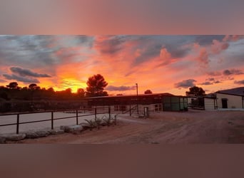 IDYLLISCHE WESTERNRANCH MIT TOURISMUS LIZENS AN DER COSTA BLANCA