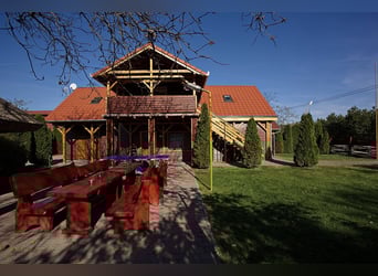  Ihr Anteil am Paradies – El Bronco Ranch, Ungarn 