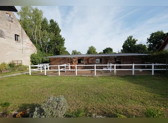 kleine Reitanlage mit laufendem Betrieb sucht neuen Inhaber