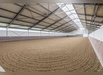 Kompakte Reitanlage mit unverbauten Blick auf die Landschaft!