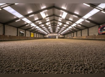 Komplette Reitanlage mit Landhaus nähe Deutsche Grenze in NL.