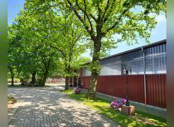 Kompletter Stalltrakt 8 Pferdeboxen zu verpachten 