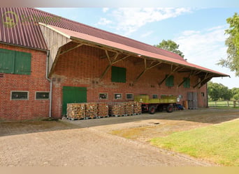 Living in the countryside: Well-maintained small farm with plenty of space for your ideas