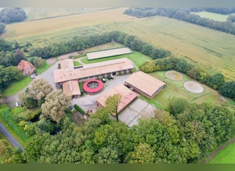 Luxuriöse Reitanlage mit viel Wohnraum und Komfort