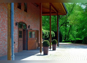 Luxuriöse Reitanlage mit viel Wohnraum und Komfort