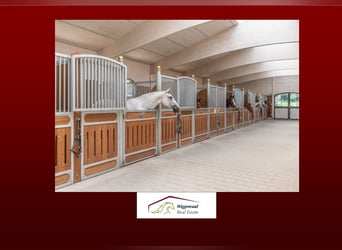 **Luxuriöses Pferdeanwesen in bester Lage** - Schweiz