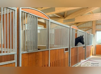 **Luxuriöses Pferdeanwesen in bester Lage** - Schweiz