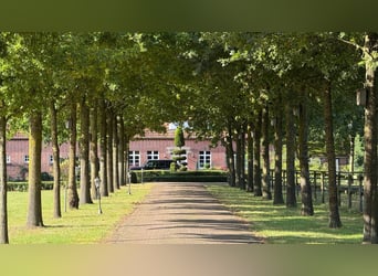 Luxurious estate with guesthouse, large barn, and horse stables