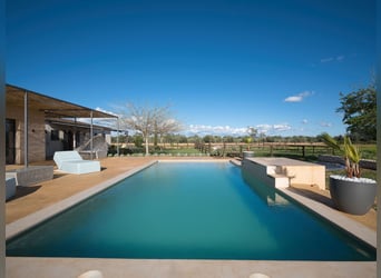 Mallorca: Neubaufinca mit Möglichkeit zu Pferdehaltung und Ferienvermietungslizenz