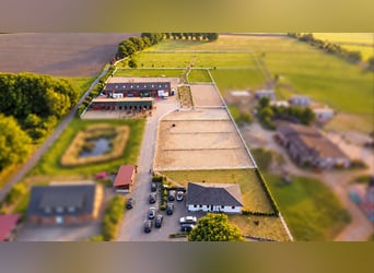 Modern Equestrian Property on 3.4 Hectares – Indoor Arena, 13 Stables, Salt Therapy Chamber & 2 Outd