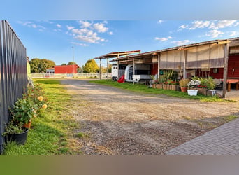 Modern Equestrian Property on 3.4 Hectares – Indoor Arena, 13 Stables, Salt Therapy Chamber & 2 Outd