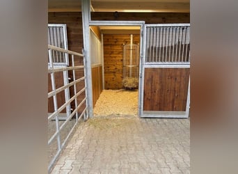 Modern house with riding facility, stable, and living accommodations for horse owners