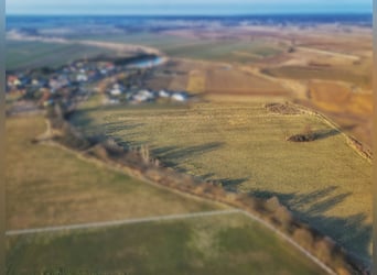Na sprzedaż nowoczesny ośrodek jeździecki 