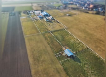 Na sprzedaż nowoczesny ośrodek jeździecki 