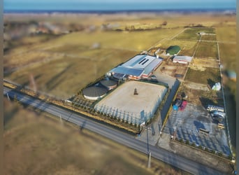 Na sprzedaż nowoczesny ośrodek jeździecki 
