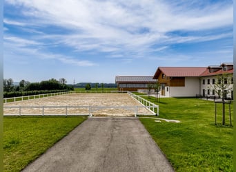 Neubau Reitanlage nähe Kempten im Allgäu