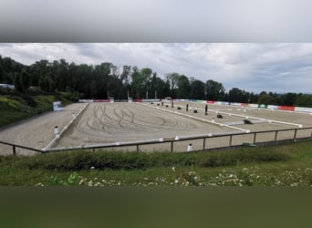 Off-Market Reitanlagen in Niedersachsen