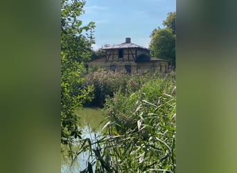 OPEN HOUSE am 28.9.: Gutshaus Scharpzow mit 2,2 ha und zusätzlichen Pachtflächen steht zum Verkauf