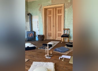 OPEN HOUSE am 28.9.: Gutshaus Scharpzow mit 2,2 ha und zusätzlichen Pachtflächen steht zum Verkauf