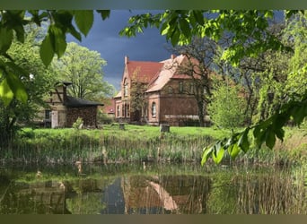 OPEN HOUSE am 28.9.: Gutshaus Scharpzow mit 2,2 ha und zusätzlichen Pachtflächen steht zum Verkauf