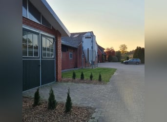 Pferdeboxen zu vermieten 