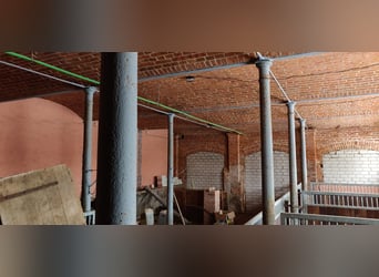 Pferdehof mit historischem Wohnensemble in der Mecklenburgischen Schweiz