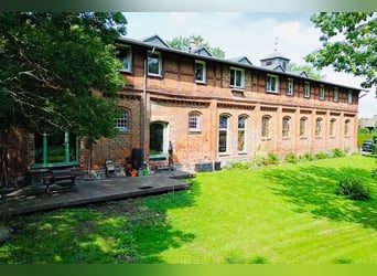 Pferdehof mit historischem Wohnensemble in der Mecklenburgischen Schweiz