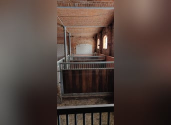 Pferdehof mit historischem Wohnensemble in der Mecklenburgischen Schweiz